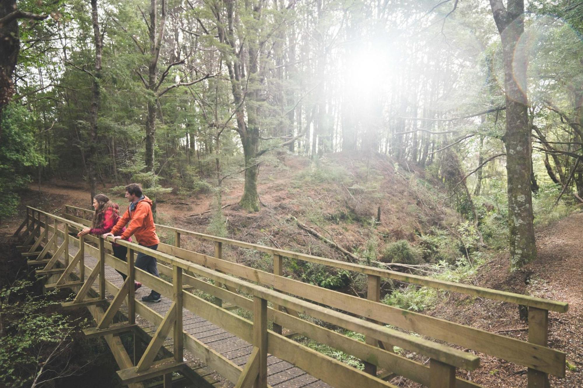 Fiordland National Park Lodge Te Anau Downs Exterior foto